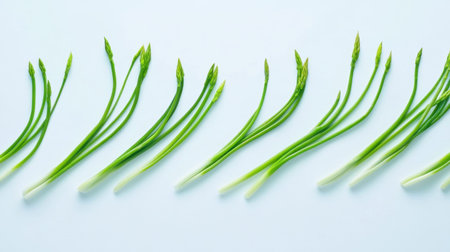 A visually appealing arrangement of fresh green onions highlights their vibrant colors and textures, ideal for food photography, cooking blogs, or health-oriented projects.の素材