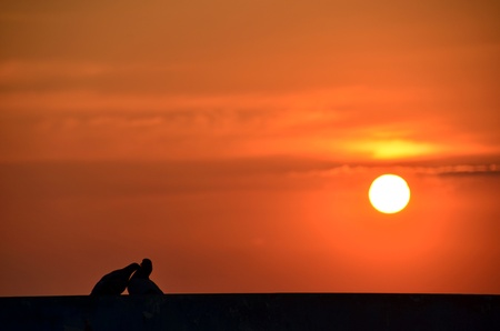 Lovely Sunsetの写真素材