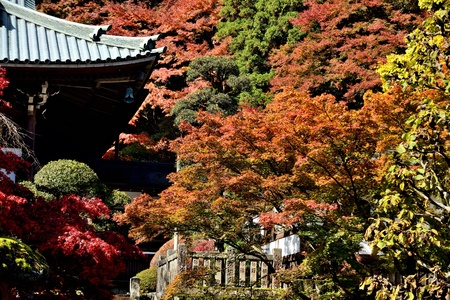 The temple and Autumnal leaves 
