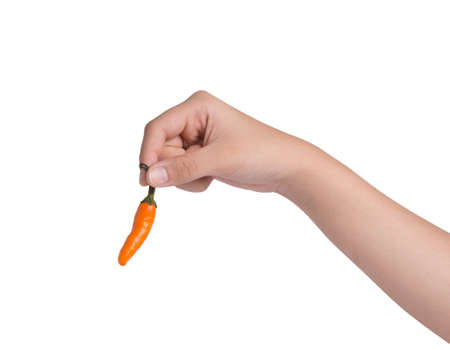 Hand holding hot chili pepper.