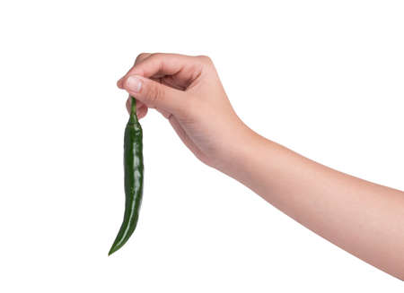 Hand holding green pepper.の写真素材