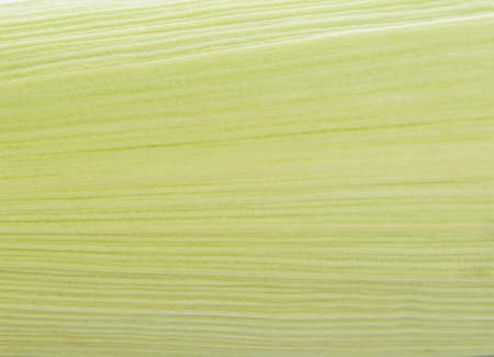 sweet corn shell texture