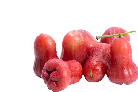 Many rose apple fruits Tastelessの写真素材