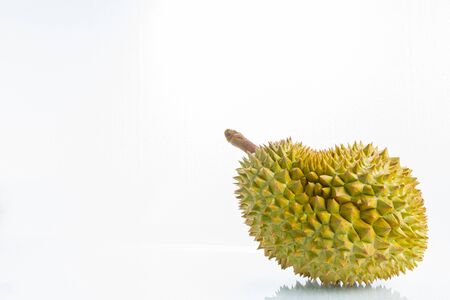 Durian is delicious, the color is soft, sharp spiky bark, inviting to eat. Is the fruit queen of Thailandの写真素材