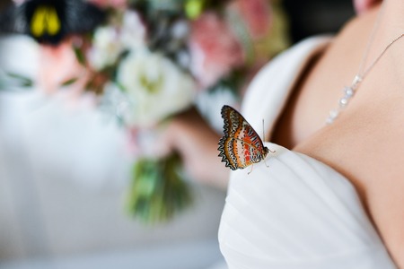 Summer picnic concept. Hand of sitting woman in trendy dress holding red apple . Wedding accessories on white vapory cloth. Sunny weather. Outdoor shotの写真素材