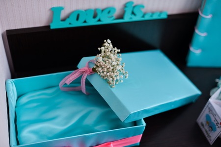 Garter on the leg of a bride, slim sexy bride in wedding luxury dress showing her silk garter with golden ribbon. woman have a final preparation for wedding ceremony. Wedding day momentsの写真素材