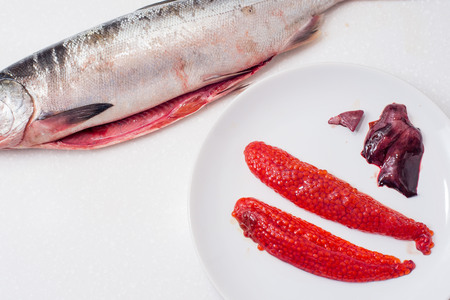 fresh gutted red fish salmon on white background Salmon roeの素材 [FY31062155985]