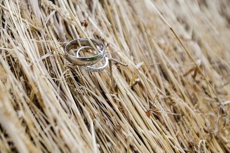 wedding rings beautifulの写真素材