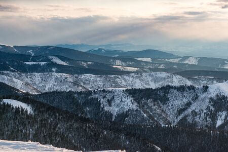 Winter trees in mountains covered with fresh snowの写真素材