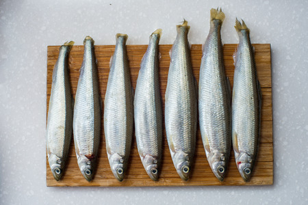 Fresh  smelt fishes on white background for foodの写真素材