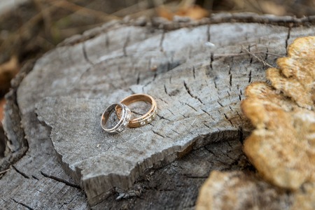 Wedding Rings Outdoors on the Tree Background