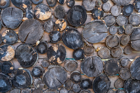 the background is the stump of the tree ring wood brownの写真素材