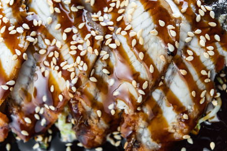 Salad With Smoked Eel with Unagi Sauce. Japanese Food