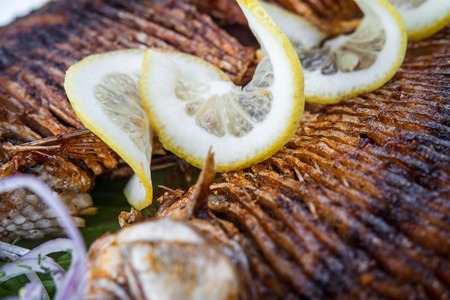 Grilled carp fish on the white plate over white