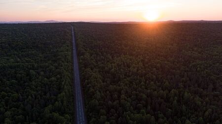 Top view of the dirt road and green spring forests in bright sunset colors. Beautiful landscape from...