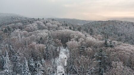 Aerial view of a winter snow-covered pine forest. Winter forest texture.の写真素材
