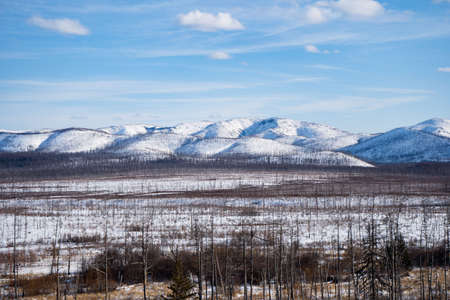 Aerial view of the river and taiga forests and road in the winter - springtime . Abstract landscape...