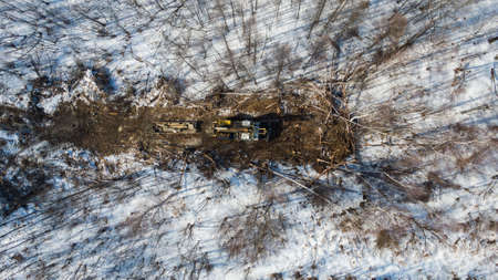 a tractor with machines in a forest in winter for cutting treesの写真素材