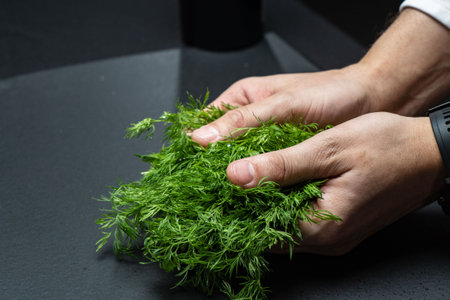 Dill close-up, herb spice for flavoring food. Dill is an annual herbaceous plant.の写真素材