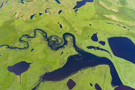 river top view shooting from a drone . river on a green background. amur river birds-eye view