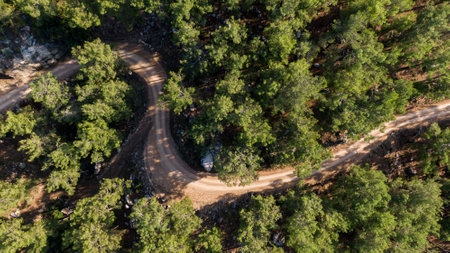 Aerial view of road between green summer forest Turkeiの写真素材