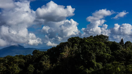 Scenic View Of Field Against Sky in Chiang Mai Thailand.の写真素材