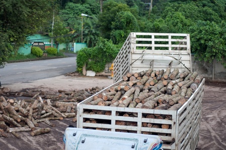 Transportation rubber tree for transform.の写真素材