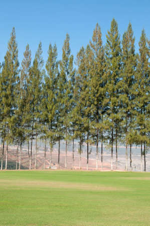 Golf Course in Northern Thailand の写真素材