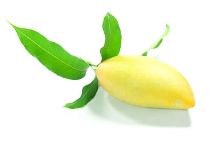 Sweet mango and leaf on isolate background の写真素材