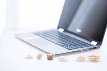 Shells from sea and modern notebook.の写真素材