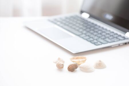Shells from sea and modern notebook.の写真素材