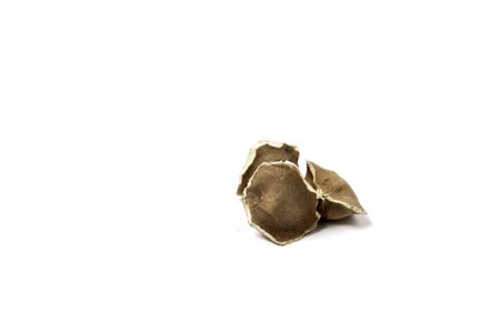Moringa Oleifera seeds dried on isolated white background. Healthy super food.の写真素材
