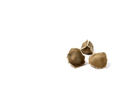 Moringa Oleifera seeds dried on isolated white background. Healthy super food.の写真素材