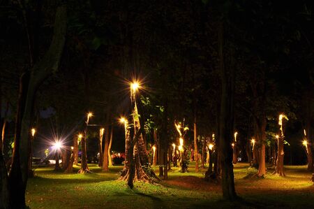 Night time garden at Chiang Mai University ,Thailand  の写真素材