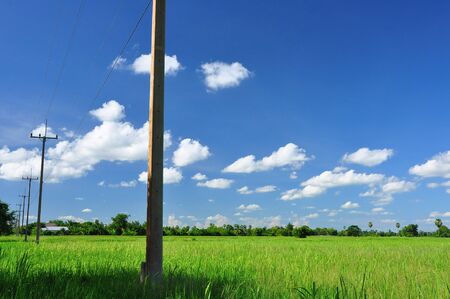 Blue sky and white cloud at rice field ,Thailandの写真素材
