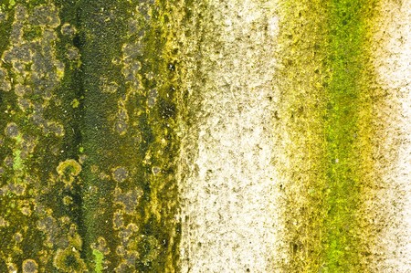 Color of mold against the wet wallの写真素材