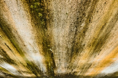 Color of mold against the wet wallの写真素材