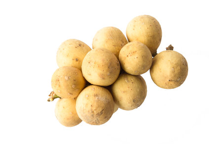 Langsat isolated on whiteの写真素材