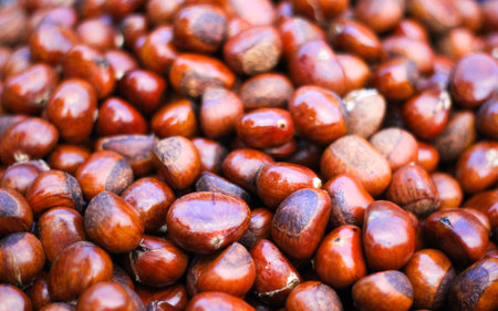 Nuts in the basketの写真素材
