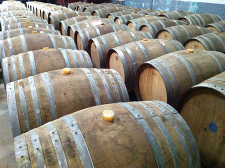 Factory of wine