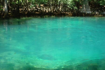 The spring boil at Manatee Springs State Park in Chiefland, Florida.の写真素材