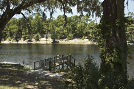 A dock on the upper Suwannee River.の写真素材