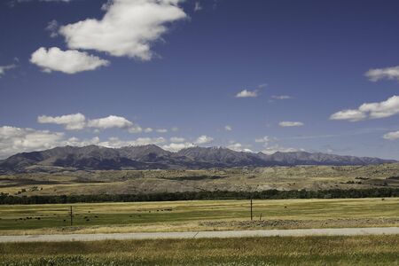A field of cattle with the mountains and the Montana sky..の写真素材