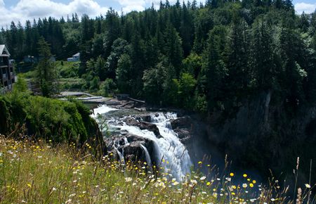The Snoqualmie Falls and its hydroelectric plant with wildflowers. These falls are higher than Niagara Falls and are located in western Washington state.の写真素材