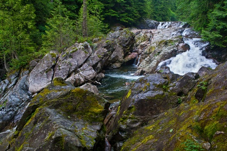 The beautiful Weeks Falls on the Snoqualmie River in the Mt. Baker/Snoqualmie National Forest, near...