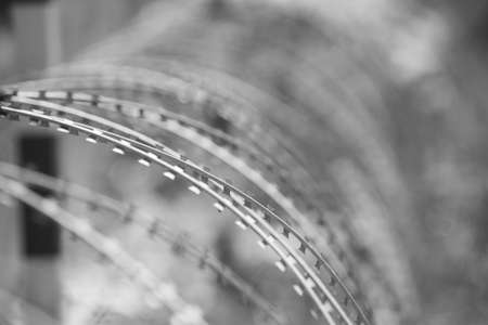 Barbed wire, Black and Whiteの写真素材