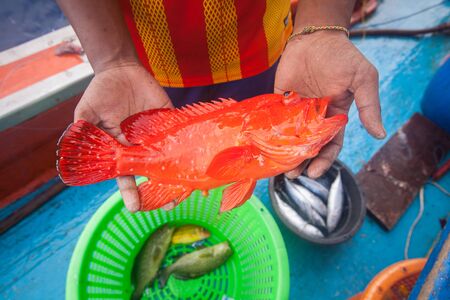 fisherman holding red grouper fish on the fishing boatの写真素材