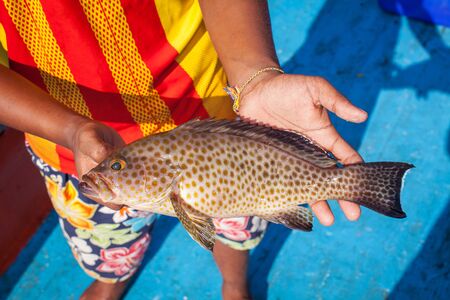 fisherman holding grouper fish on the fishing boatの写真素材