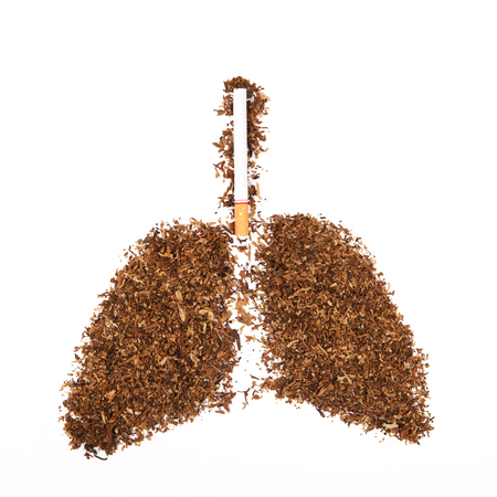 Human lung made from tobacco isolated with cigarette on white background.の写真素材