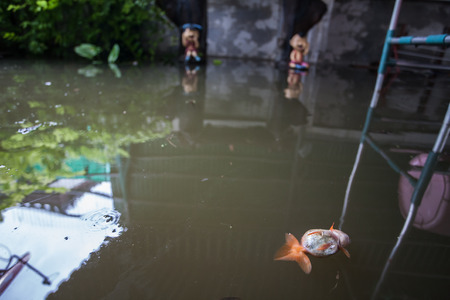 Nonthaburi flood in Thailand 2011-The lifestyle of people in massive flooding, Nonthaburi in Thailand, October 20, 2011のeditorial素材